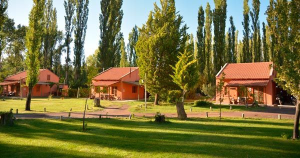 celu_home.jpg